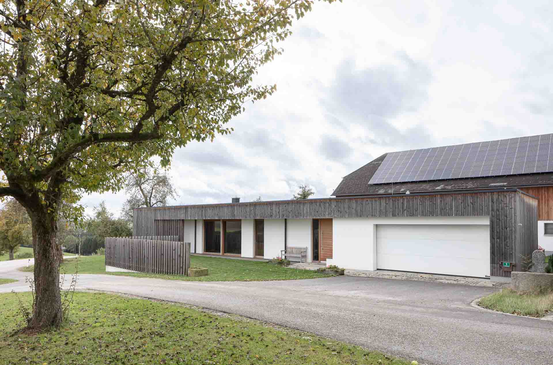 Architekturfoto mit Bungalow im grünen, mit baum seitlich im Vordergrund, Herbststimmung, vergrautes Lärchenholz, Einfamilienhaus, baunerhoferweiterung